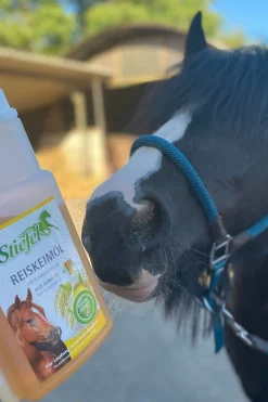 Stiefel Reiskeimöl, 1l* Ergänzungsfuttermittel Für Pferde