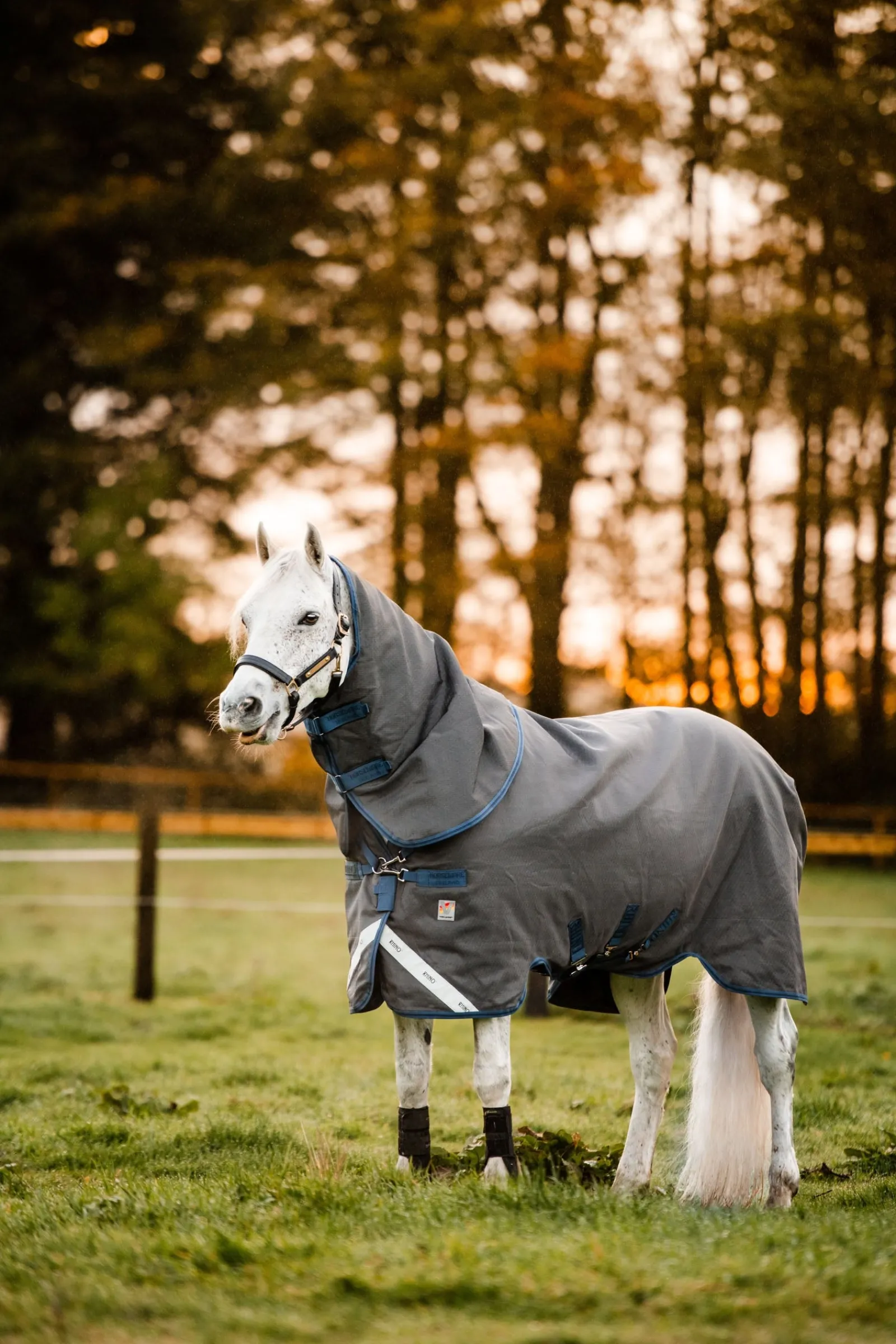 Horseware Rhino Hexstop Vari-Layer Weidedecke, 250g* Mittelschwere & Schwere Winterdecken