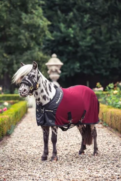 Back on Track Royal Pony Netzdecke Deluxe* Ponydecken|Ponydecken