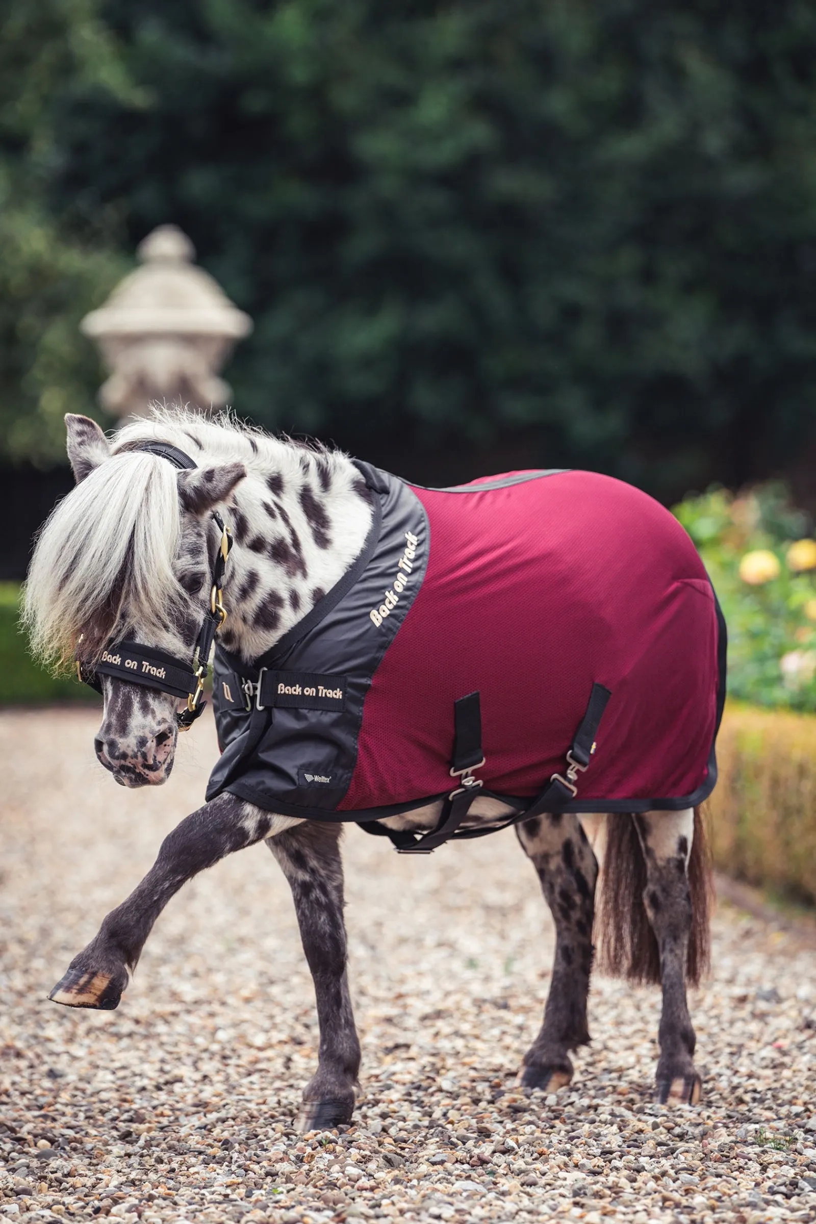 Back on Track Royal Pony Netzdecke Deluxe* Ponydecken|Ponydecken