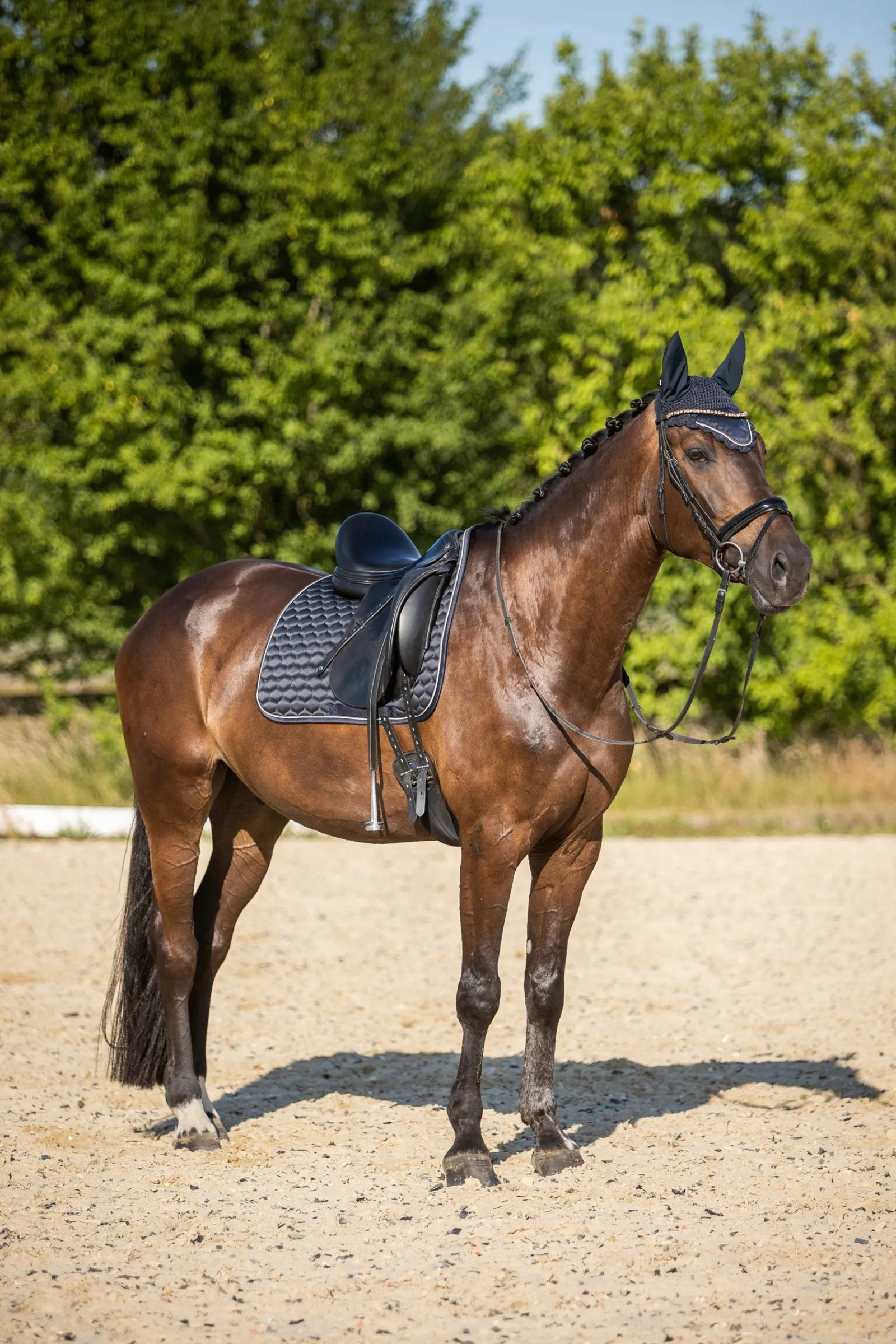 Horze Sandnes Dressurschabracke* Dressurschabracken