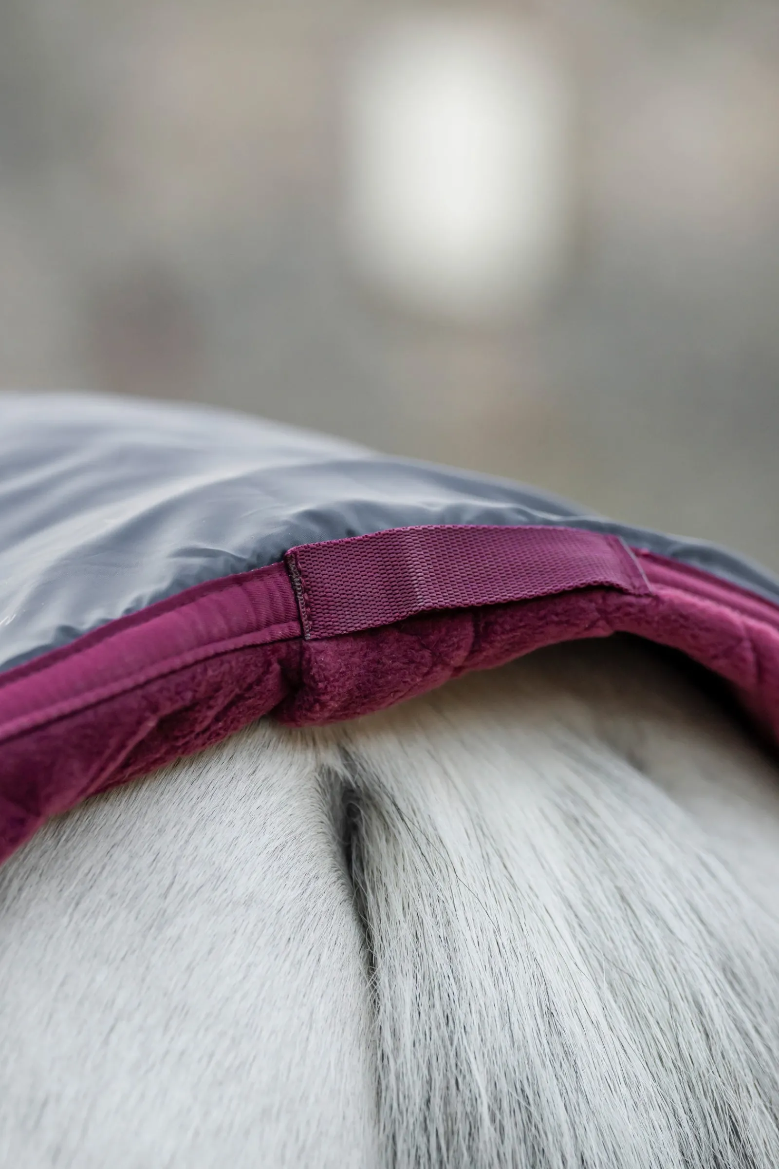 Horseware Signature Abschwitzdecke für den Transport* Abschwitzdecken