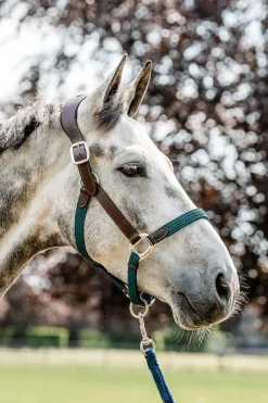 Horseware Signature geflochtenes Halfter* Halfter