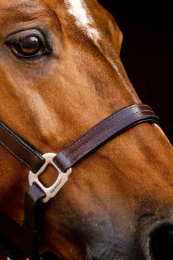 Horseware Signature Lederhalfter* Lederhalfter