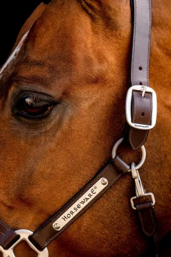 Horseware Signature Lederhalfter* Lederhalfter