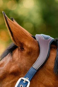 Horseware Signature Show Halfter* Halfter