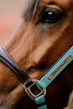 Horseware Signature Show Halfter* Halfter