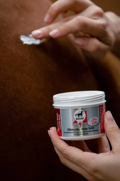 Leovet Silbersalbe* Stallapotheke|Sonstige Therapie- & Massageartikel
