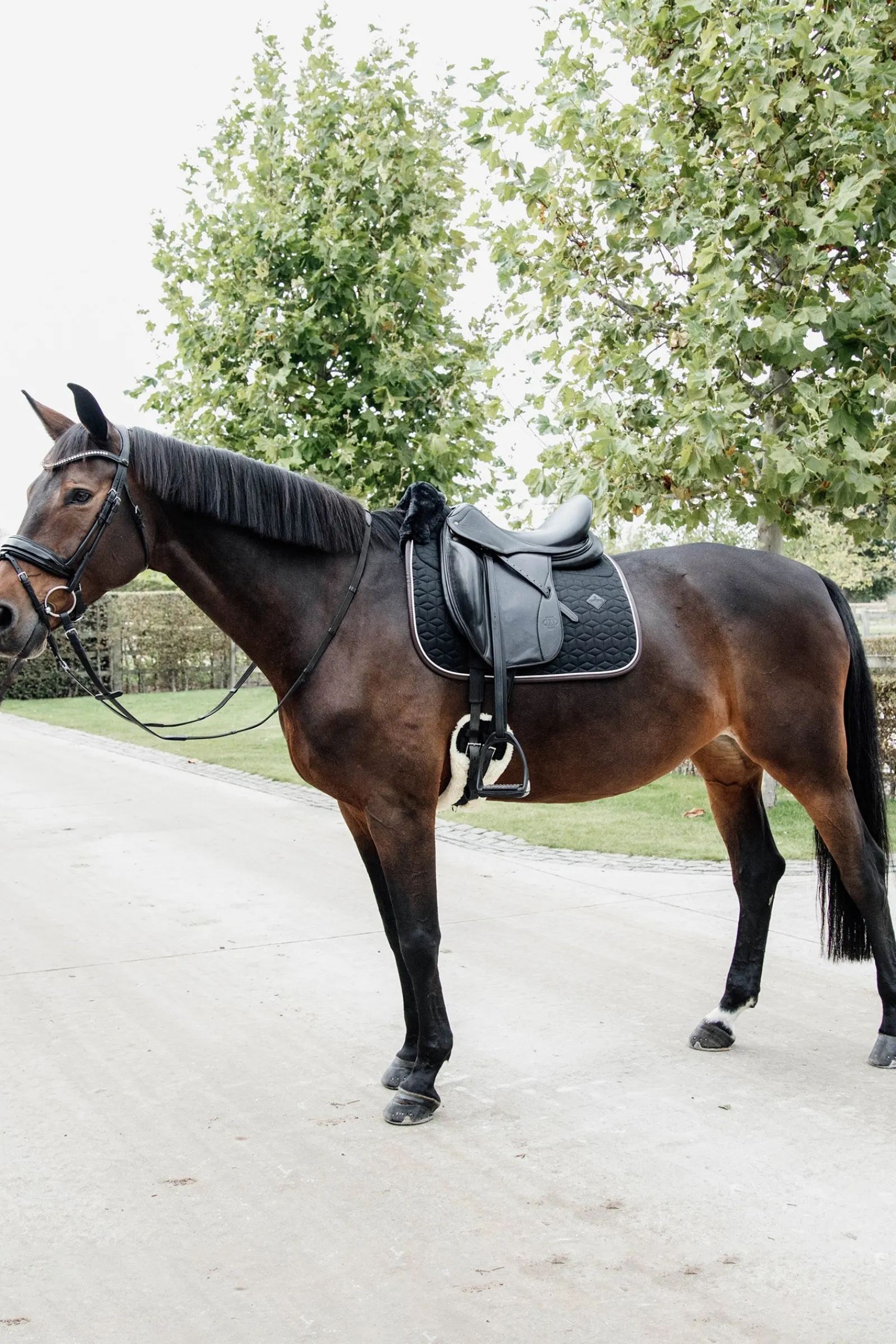 Kentucky Horsewear Skin Friendly Dressurschabracke* Dressurschabracken