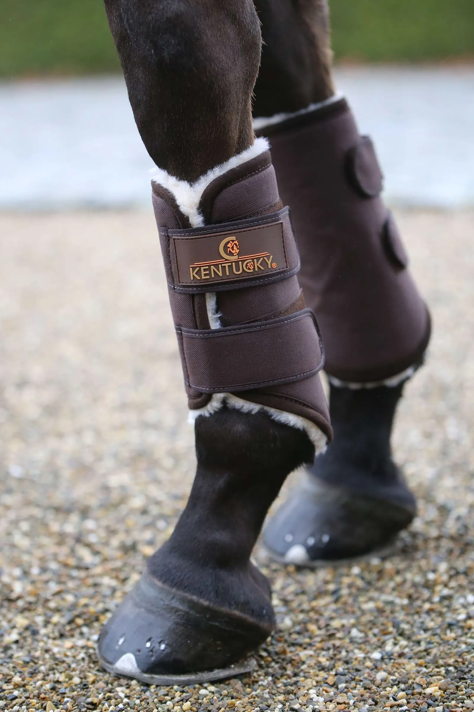 Kentucky Horsewear Solimbra Arbeitsgamaschen Vorne* Dressurgamaschen