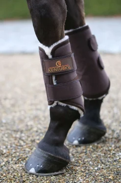 Kentucky Horsewear Solimbra Arbeitsgamaschen Hinten* Dressurgamaschen