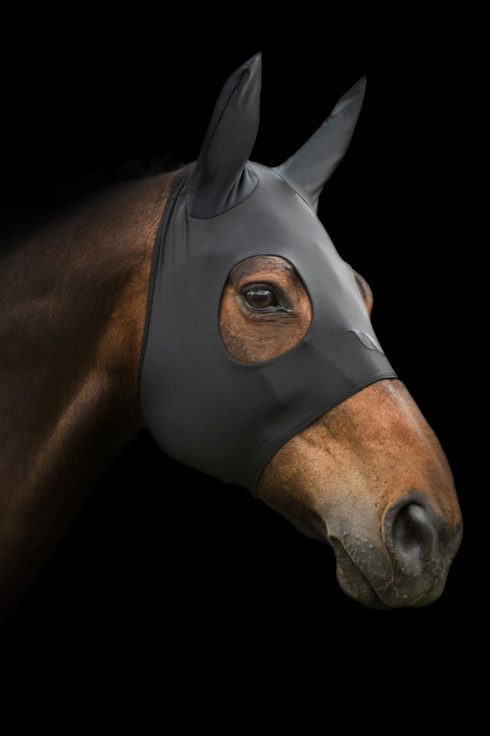 Back on Track Spirit Calming Maske mit Ohren* Fliegenmasken & Fliegenfransen