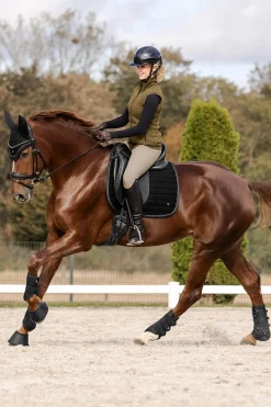 Waldhausen St. Gallen Dressage Saddle Pad* Dressurschabracken