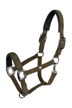 Waldhausen St. Gallen Halter* Halfter