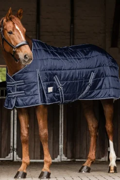 Waldhausen Stable Rug Economic 100 g* Stall- & Unterdecken