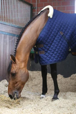 Kentucky Horsewear Stalldecke, 400g* Stall- & Unterdecken