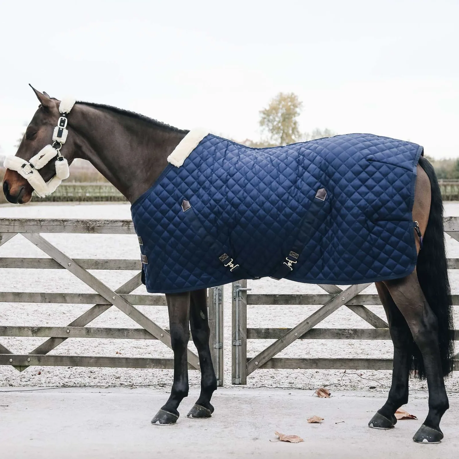 Kentucky Horsewear Stalldecke, 200g* Stall- & Unterdecken