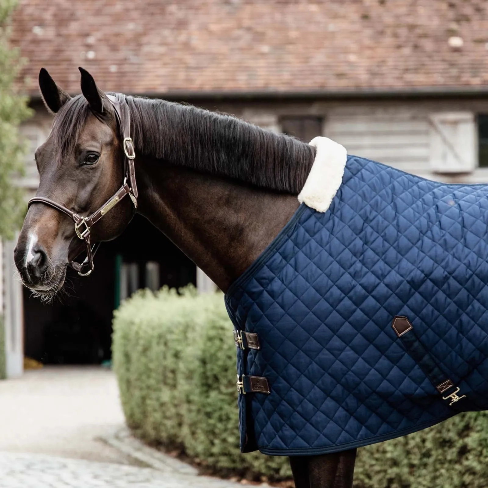 Kentucky Horsewear Stalldecke, 200g* Stall- & Unterdecken