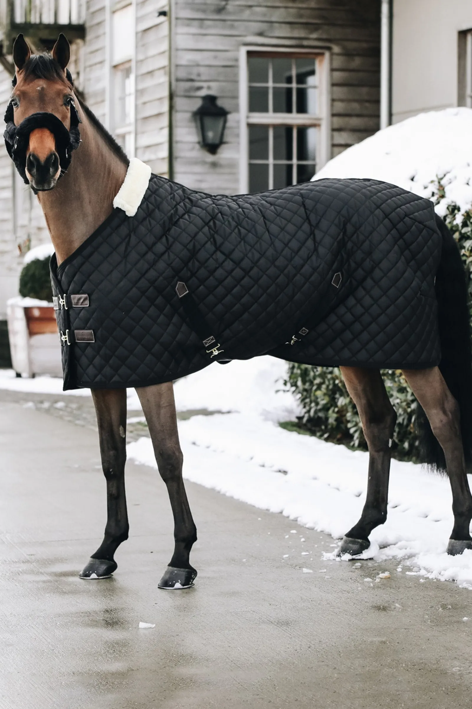 Kentucky Horsewear Stalldecke, 400g* Stall- & Unterdecken