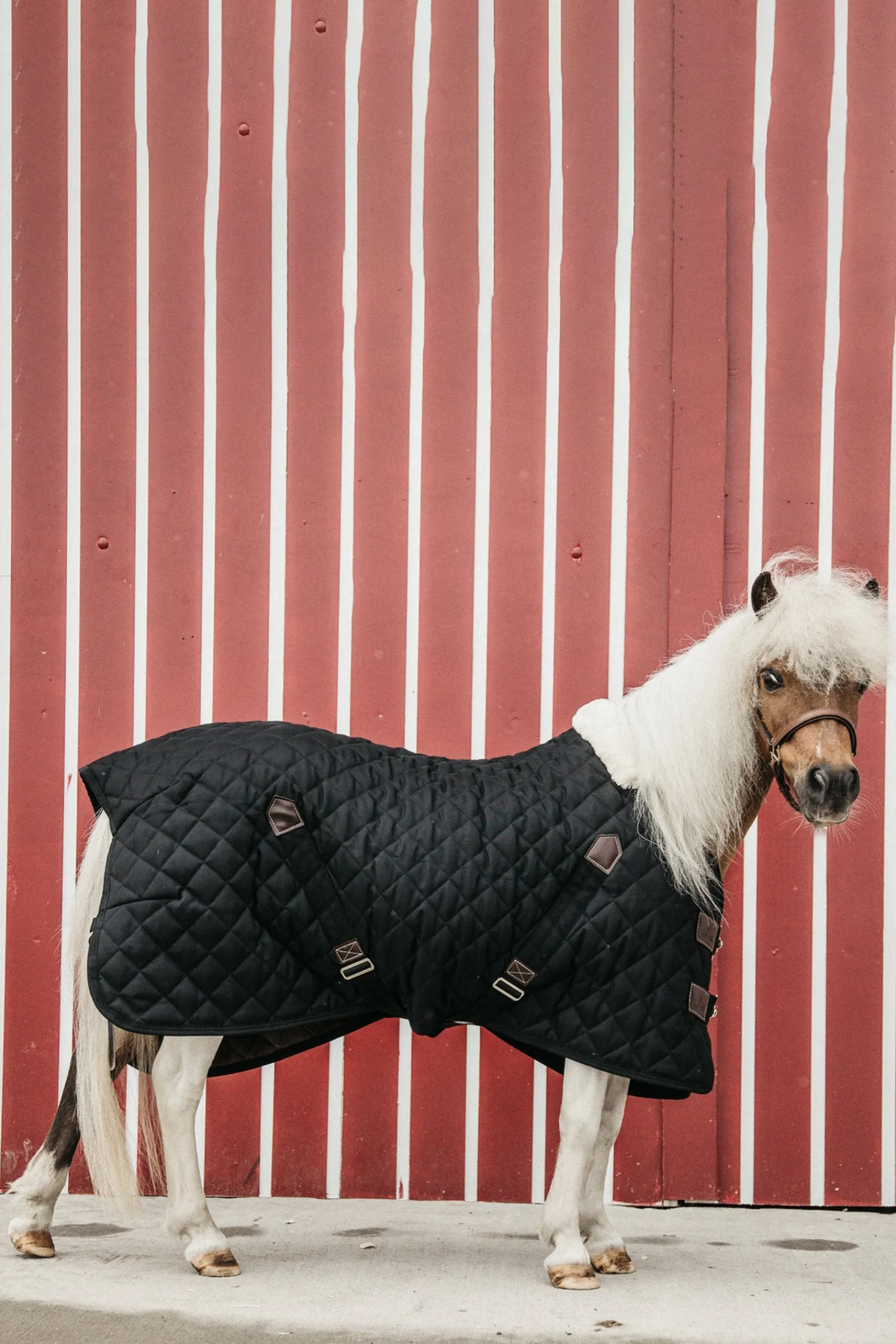 Kentucky Horsewear Stalldecke, 400g* Stall- & Unterdecken