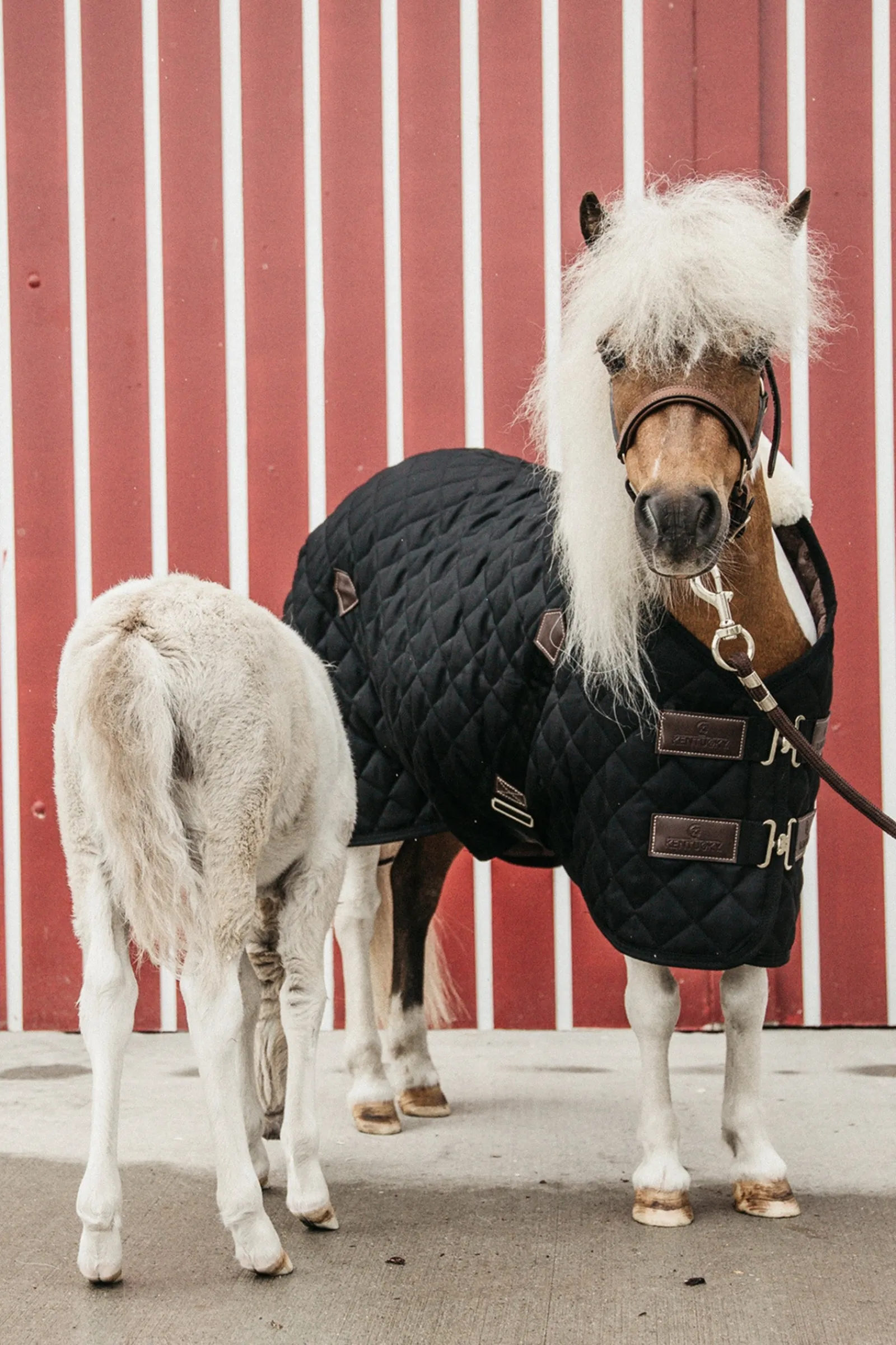 Kentucky Horsewear Stalldecke, 400g* Stall- & Unterdecken