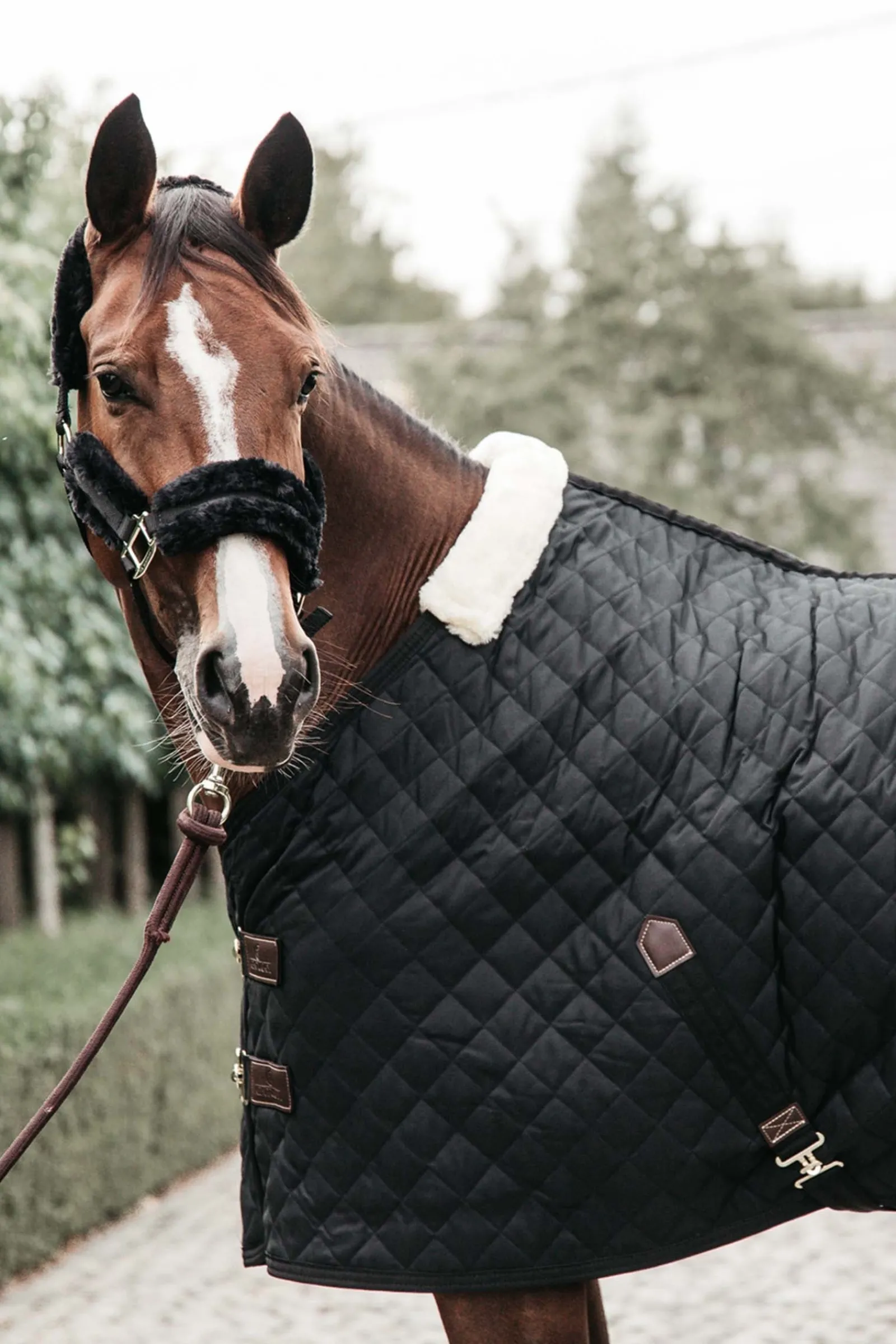 Kentucky Horsewear Stalldecke, 400g* Stall- & Unterdecken