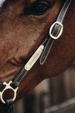 Kentucky Horsewear Stallhalfter Leder* Lederhalfter