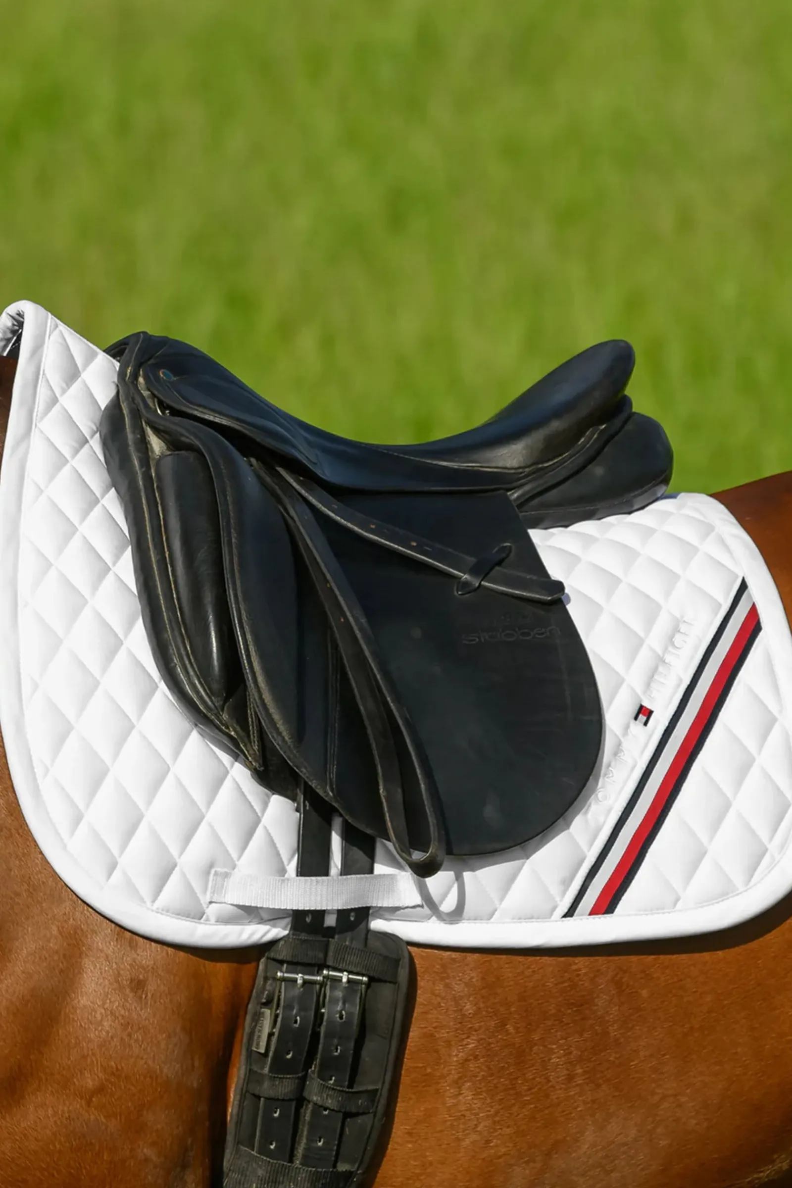Tommy Hilfiger Equestrian Stanford Dressurschabracke* Dressurschabracken