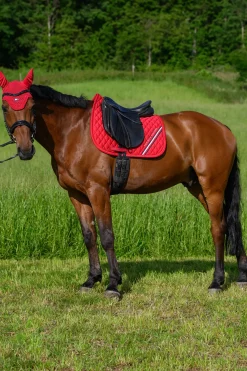 Tommy Hilfiger Equestrian Stanford Dressurschabracke* Dressurschabracken