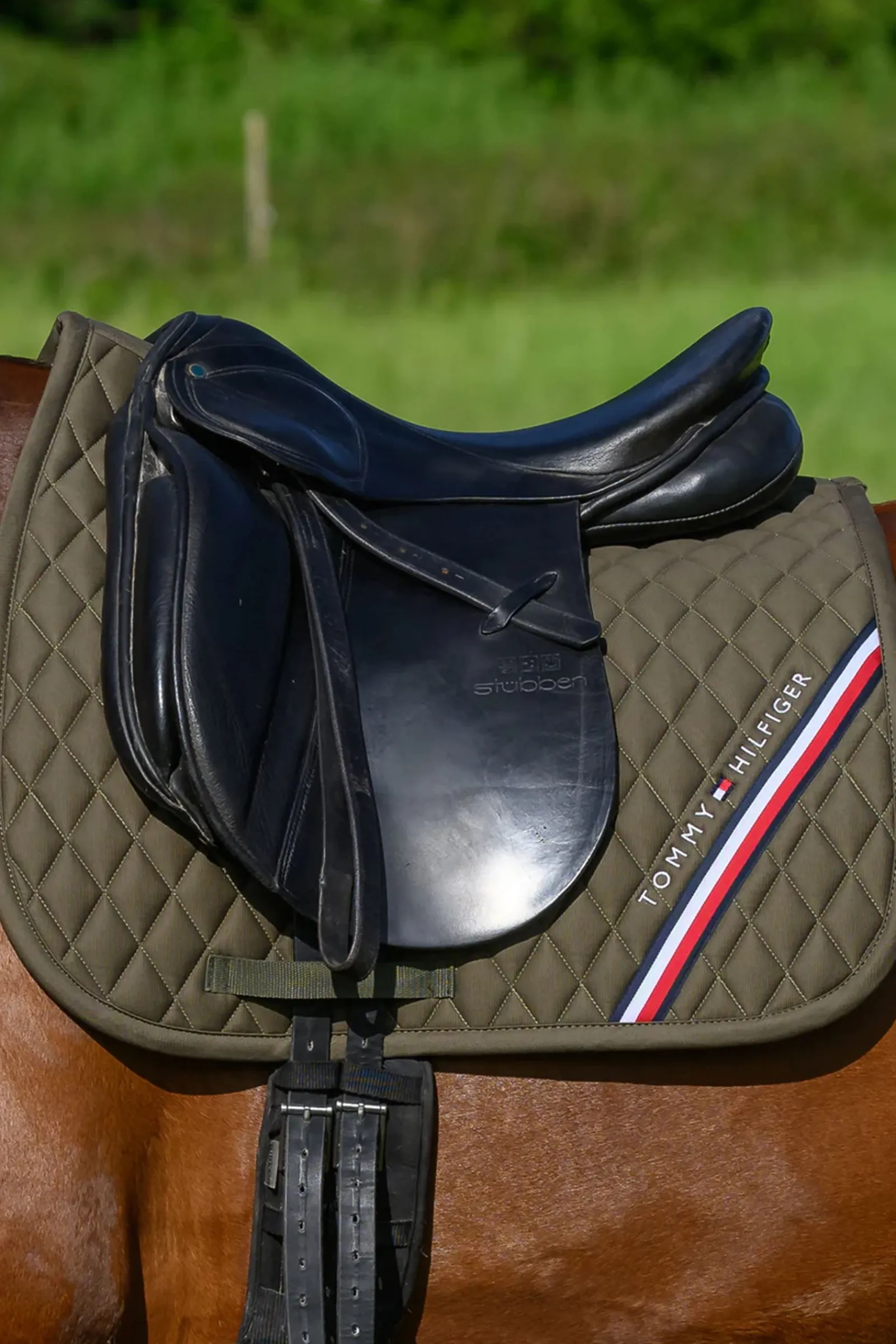 Tommy Hilfiger Equestrian Stanford Dressurschabracke* Dressurschabracken