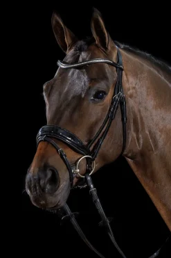 Schockemöhle Sports Stanford S Bridle* Trensen & Nasenriemen