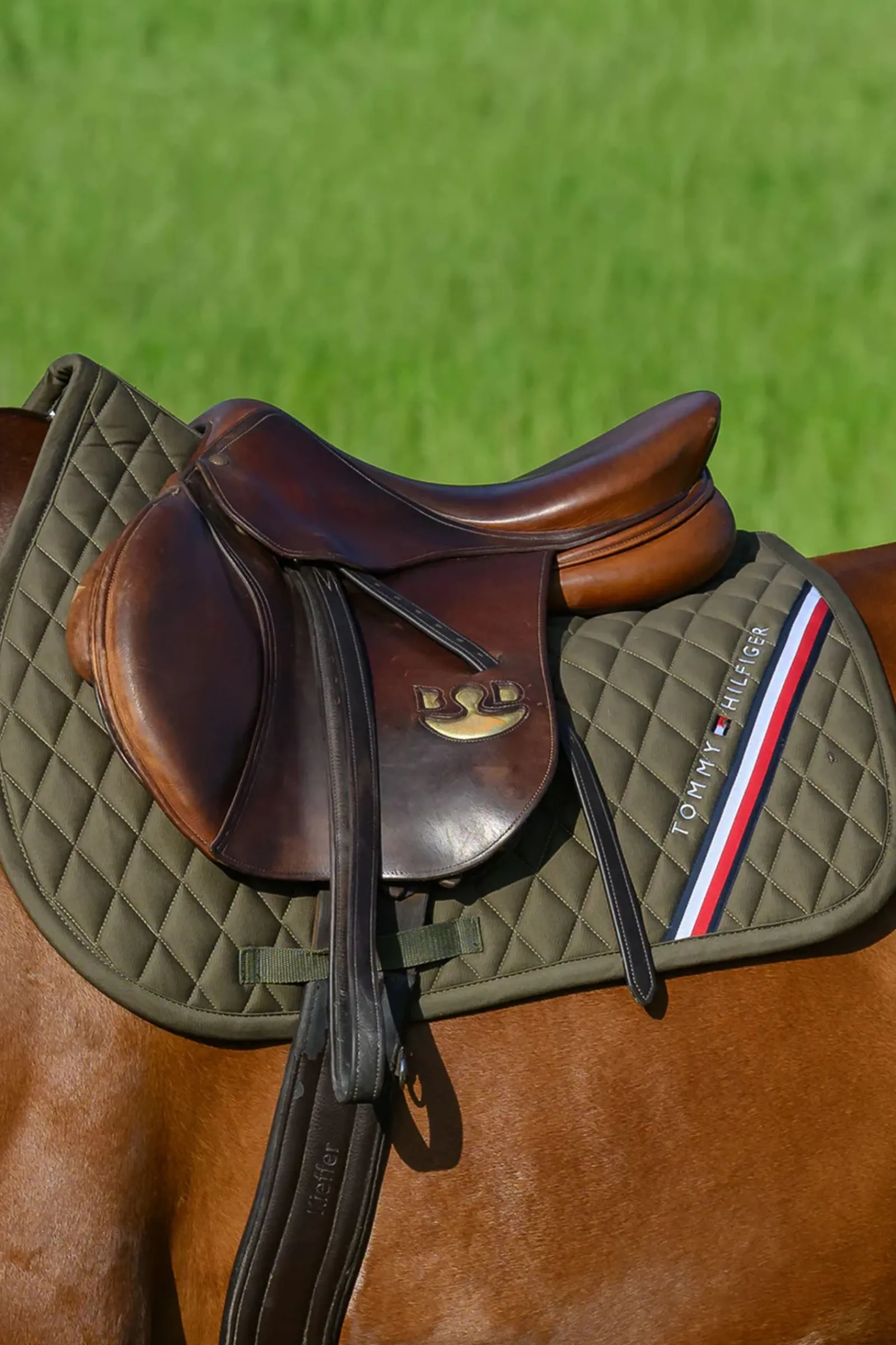 Tommy Hilfiger Equestrian Stanford Springschabracke* Spring- & Vielseitigkeitsschabracken