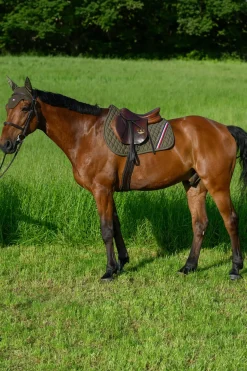 Tommy Hilfiger Equestrian Stanford Springschabracke* Spring- & Vielseitigkeitsschabracken