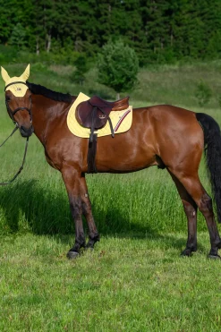 Tommy Hilfiger Equestrian Stanford Springschabracke* Spring- & Vielseitigkeitsschabracken