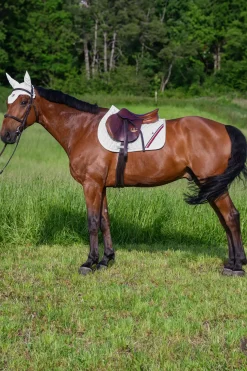 Tommy Hilfiger Equestrian Stanford Springschabracke* Spring- & Vielseitigkeitsschabracken