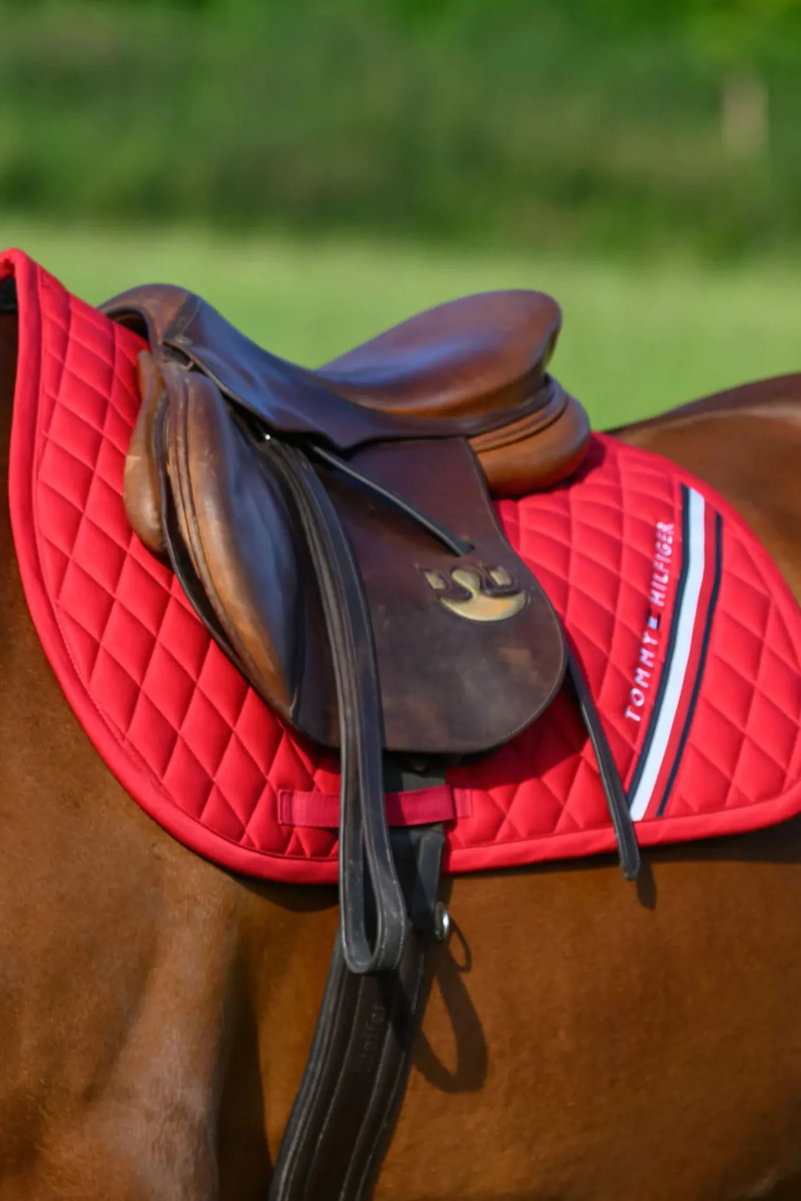 Tommy Hilfiger Equestrian Stanford Springschabracke* Spring- & Vielseitigkeitsschabracken