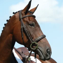 Collegiate Syntovia+ Padded Raised Cavesson Bridle* Trensen & Nasenriemen