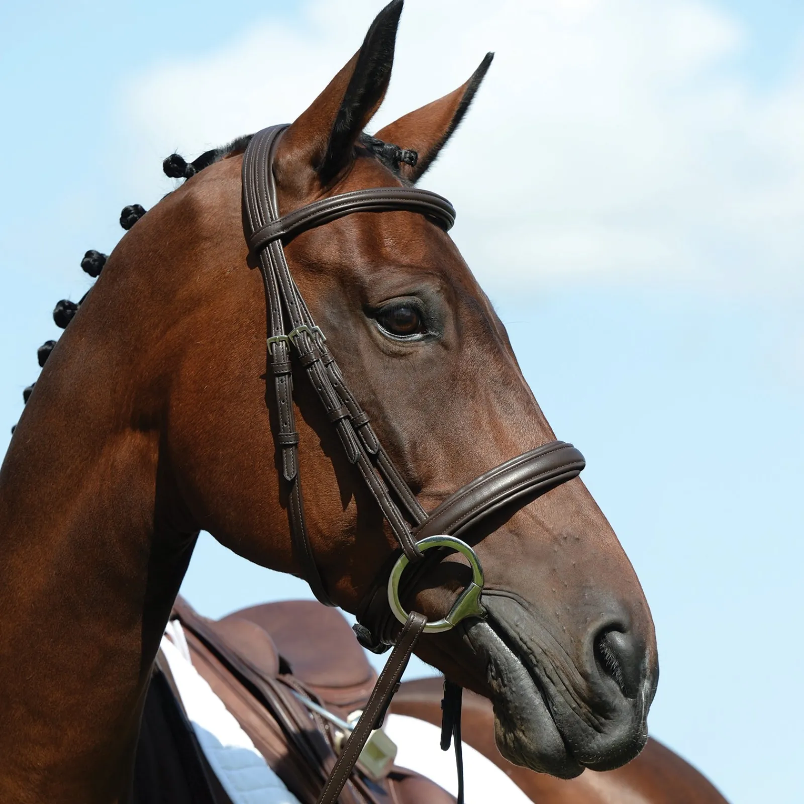 Collegiate Syntovia+ Padded Raised Cavesson Bridle* Trensen & Nasenriemen