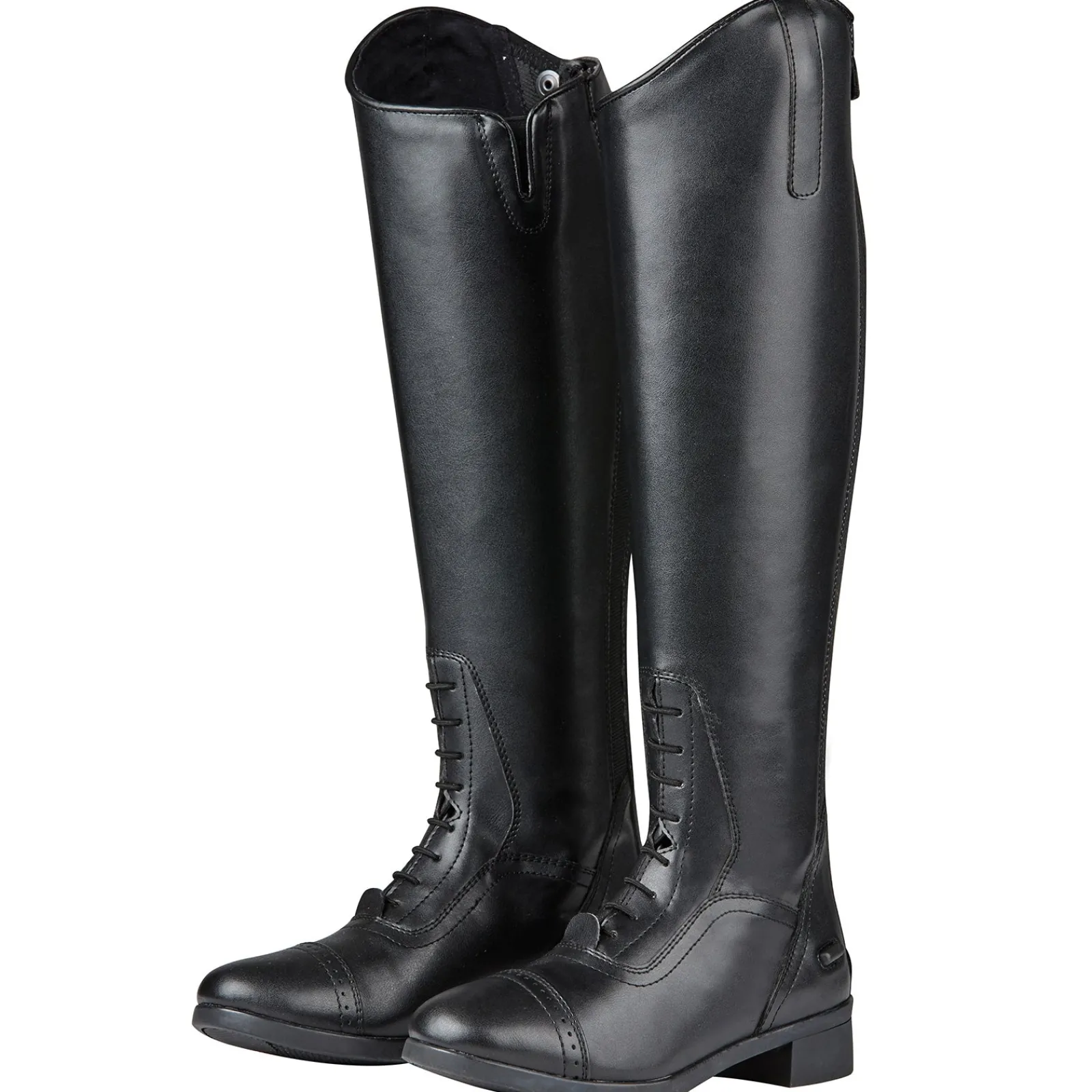 Saxon Syntovia Reitstiefel* Reitstiefel