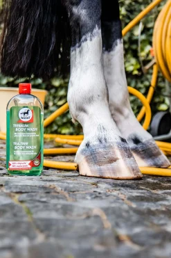 Leovet Teebaum Body Wash* Haar- & Mähnen- & Schweifpflege