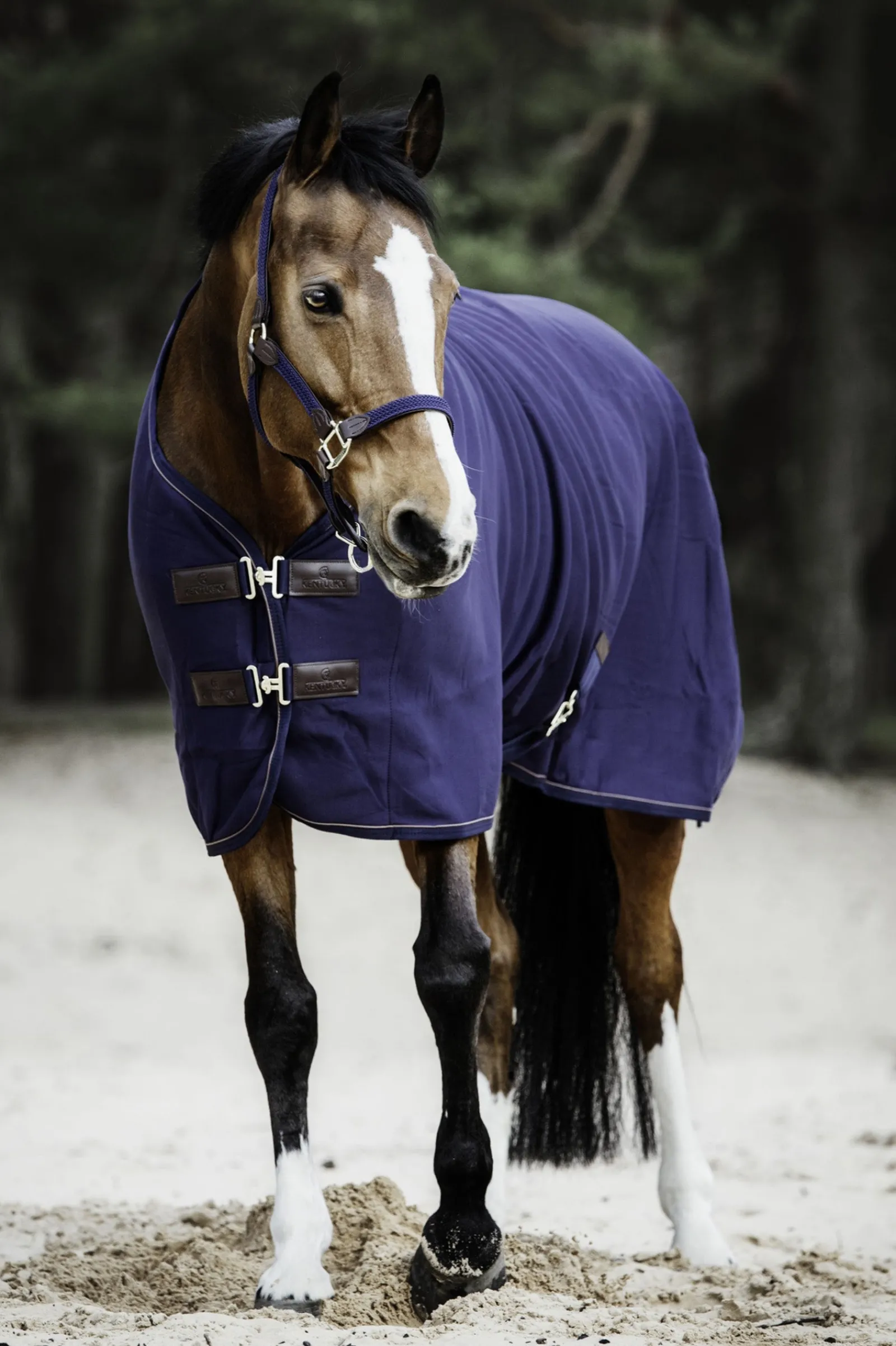 Kentucky Horsewear Tiny Fleece Abschwitzdecke* Ponydecken|Ponydecken