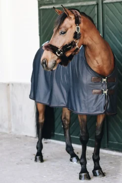 Kentucky Horsewear Tiny Recuptex Magnetdecke* Therapie-Decken|Therapie-Decken