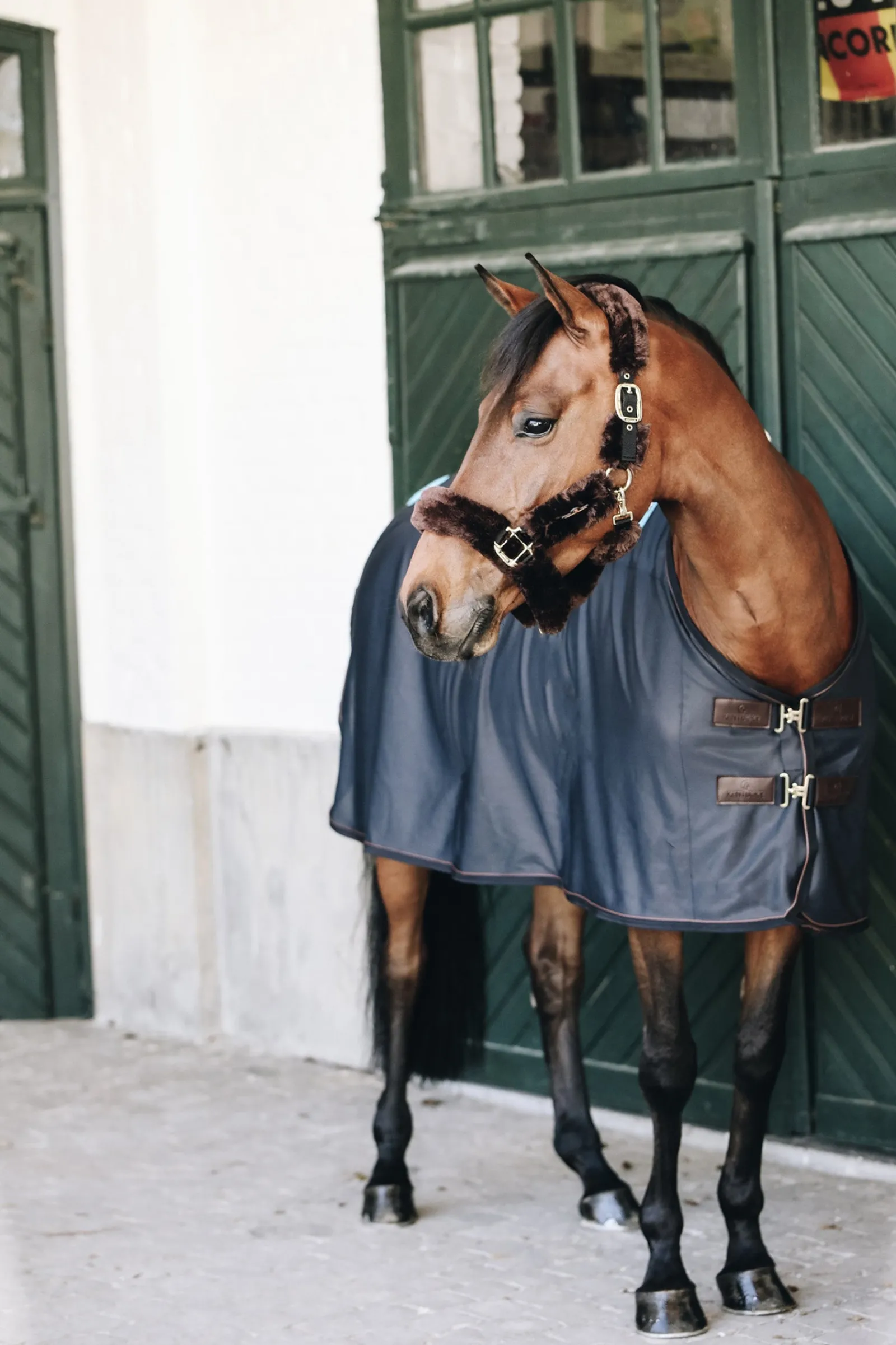 Kentucky Horsewear Tiny Recuptex Magnetdecke* Therapie-Decken|Therapie-Decken