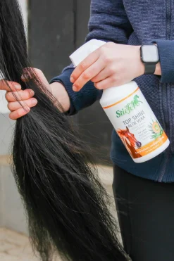 Stiefel Top Shine Aloe Vera* Haar- & Mähnen- & Schweifpflege