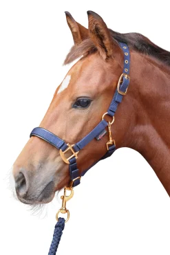Covalliero TopLine Fohlenhalfter* Halfter