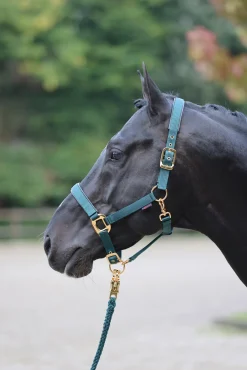 Covalliero TopLine Halfter* Halfter