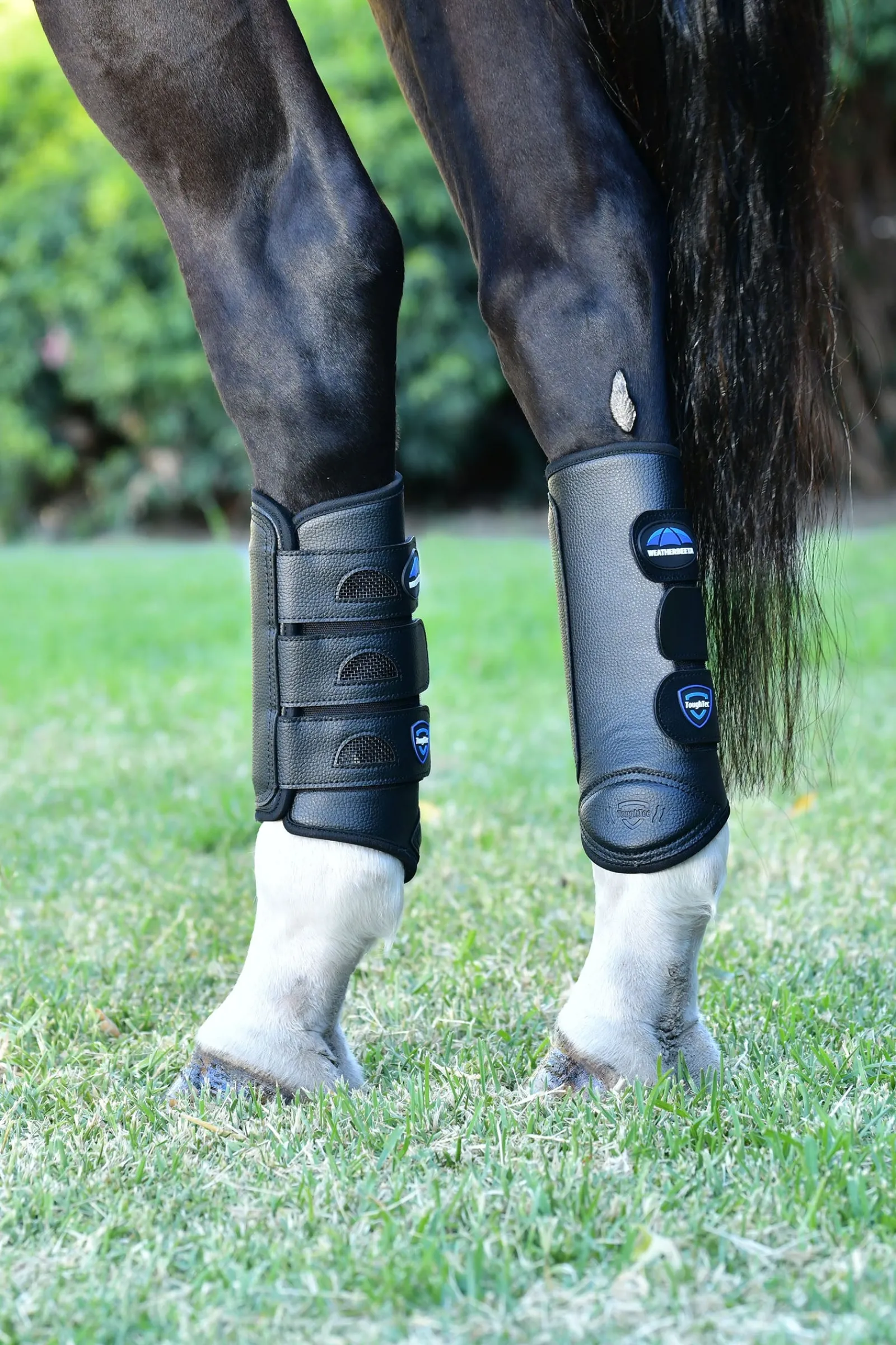 Weatherbeeta Tough-Tec Eventing Gamaschen, hinten* Gamaschen