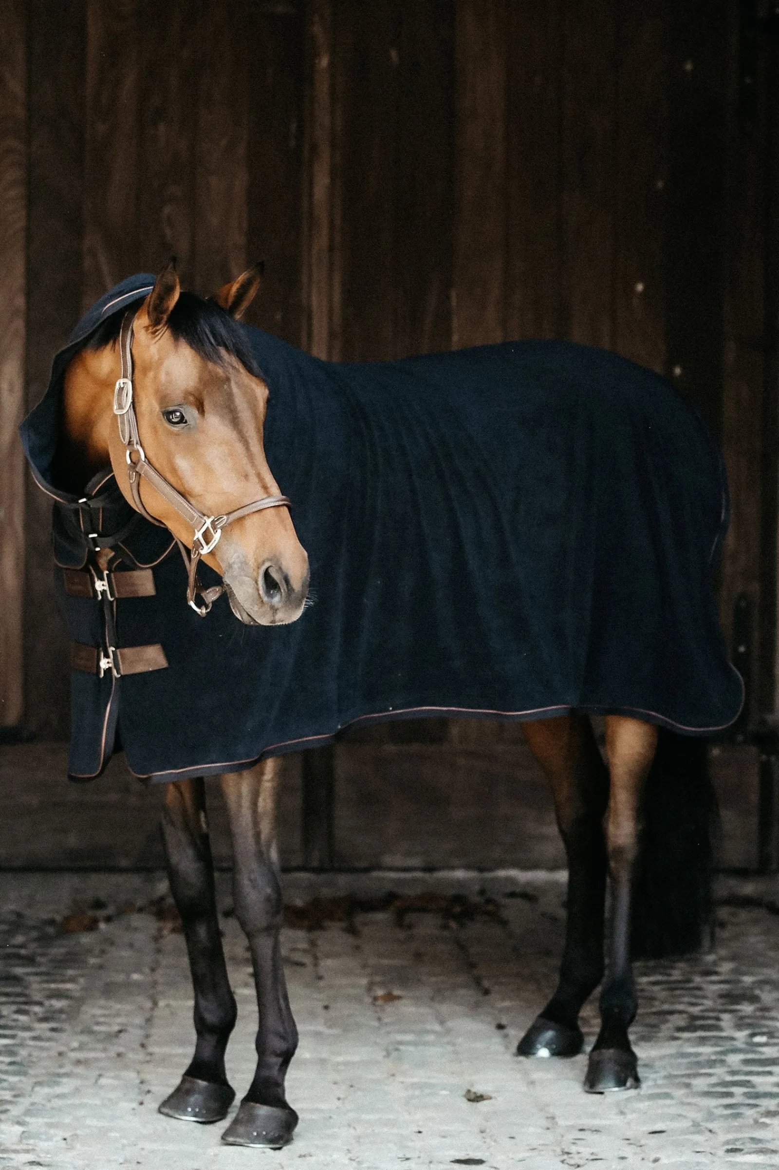 Kentucky Horsewear Towel Abschwitzdecke* Abschwitzdecken
