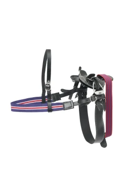LeMieux Toy Pony Rennsattel und Vorderzeug Set* Geschenkartikel