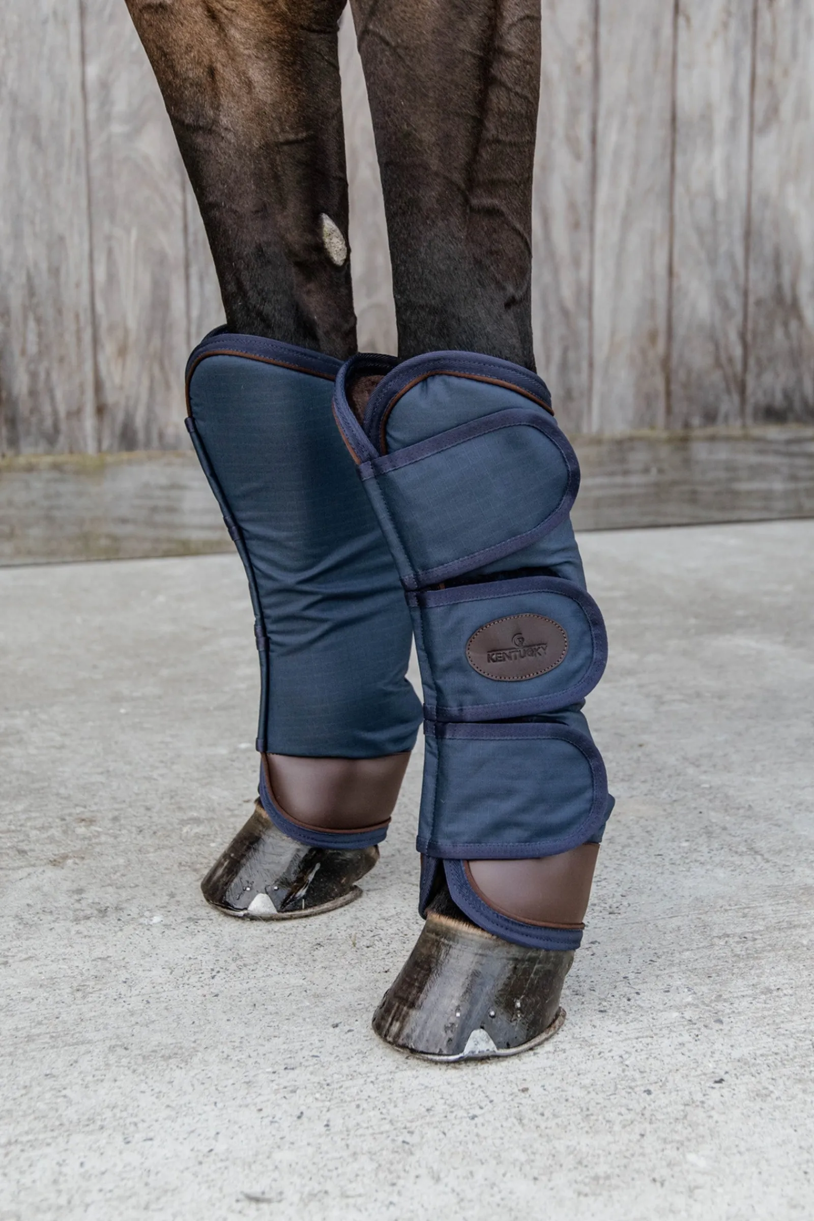 Kentucky Horsewear Transportgamaschen* Stall- & Transportgamaschen